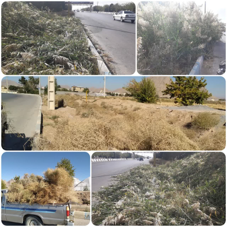 پاکسازی حاشیه  معابر سطح شهر و اتوبان اصفهان مبارکه از علف های هرز و ...