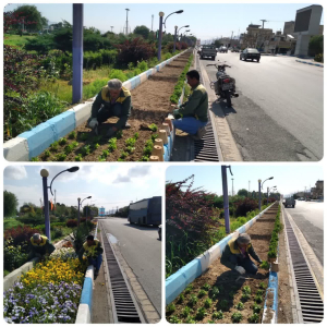 تداوم کاشت گل های فصلی سطح شهر