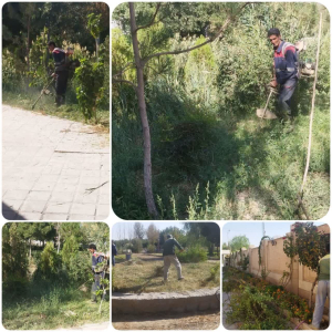 وجین علف های هرز فضای سبز  ، پارک ها و ....