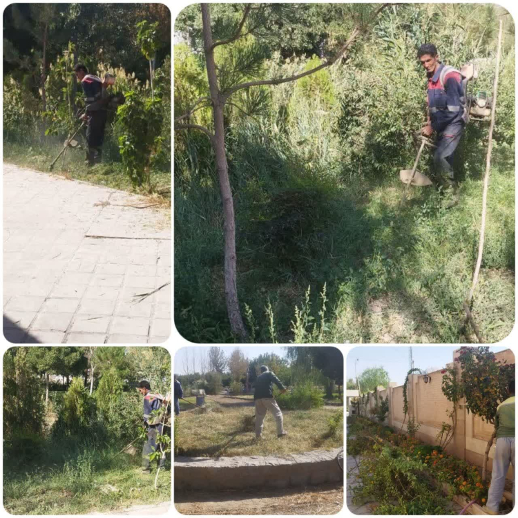 وجین علف های هرز فضای سبز  ، پارک ها و ....