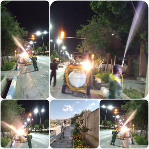 شروع عملیات سم پاشی درختان و درختچه‌های سطح شهر