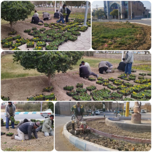 تداوم عملیات کاشت گل های فصلی سطح شهر