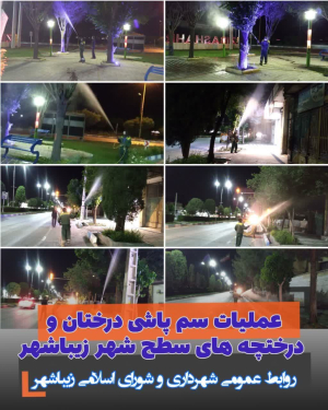 عملیات سم پاشی درختان و درختچه‌های سطح شهر