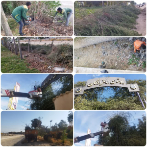 پاکسازی و تزئین درختچه ها و فضای سبز پارک ها و معابر سطح شهر