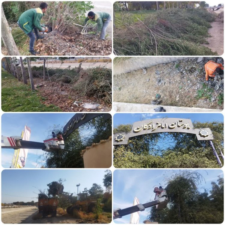 پاکسازی و تزئین درختچه ها و فضای سبز پارک ها و معابر سطح شهر