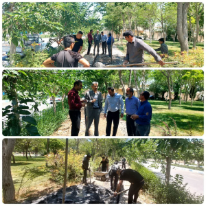 بازدید میدانی مهندس صابری شهردار زیباشهر و اعضای شورای اسلامی از عملیات اصلاح روشنایی پارک ناصر خسرو