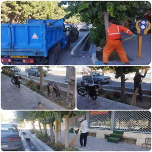 پاکسازی  رفیوژ های بلوار  ، خیابان ها و معابر سطح شهر