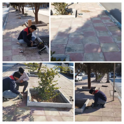 عملیات نورپردازی درختان و رفیوژ فضای سبز   بلوار امام خمینی (ره) زیباشهر