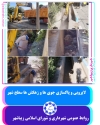 لایروبی و پاکسازی جوی ها و زهکش های سطح شهر